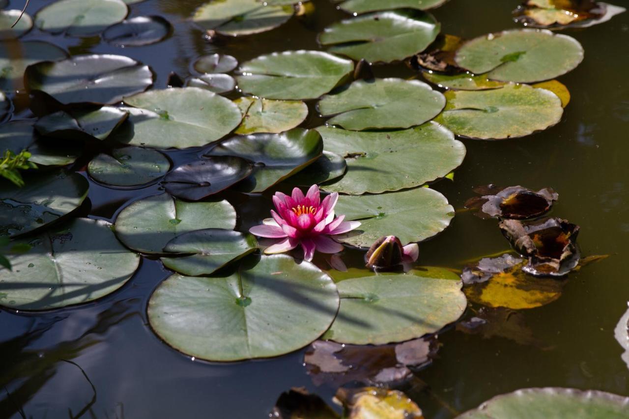 La Varangue Лакано Екстер'єр фото